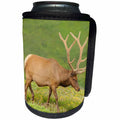 3dRose Danita Delimont - Elk - Colorado, Rocky Mountain National Park. Bull elk in velvet walking - Can Cooler Bottle Wrap (cc_250701)