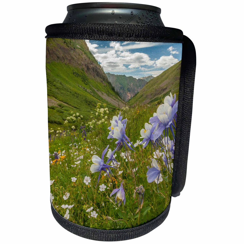 3dRose Danita Delimont - San Juan Mountains - Colorado, San Juan Mountains. Wildflowers in Maggies Gulch. - Can Cooler Bottle Wrap (cc_250703)