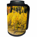 3dRose Danita Delimont - Colorado - Aspen leaves turning near the Colorado River, Colorado, USA - Can Cooler Bottle Wrap (cc_250708)