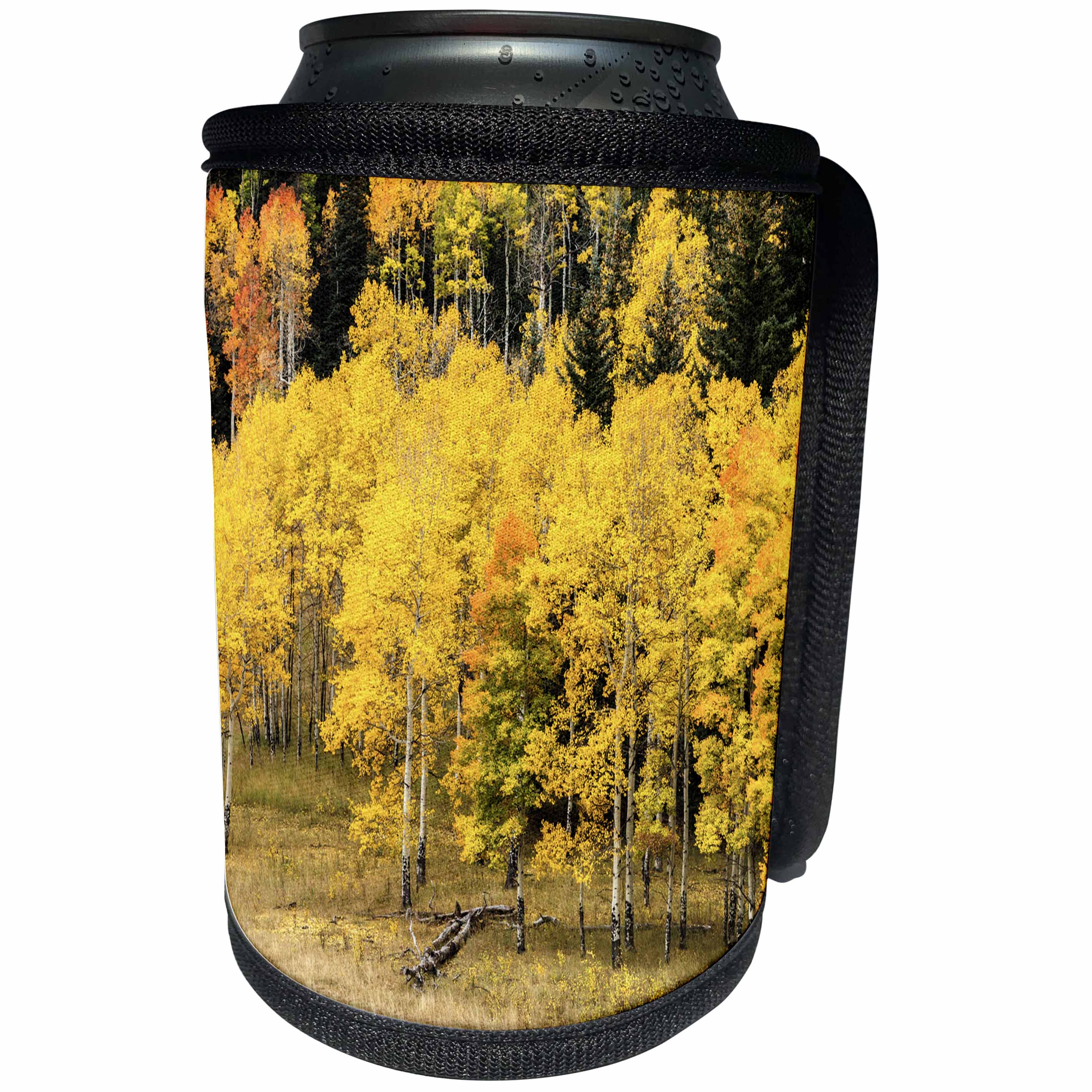 3dRose Danita Delimont - Colorado - Aspen leaves turning near the Colorado River, Colorado, USA - Can Cooler Bottle Wrap (cc_250708)