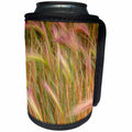 3dRose Danita Delimont - Colorado - Fox-tail Barley, roadside, Routt National Forest, Colorado, USA - Can Cooler Bottle Wrap (cc_250710)