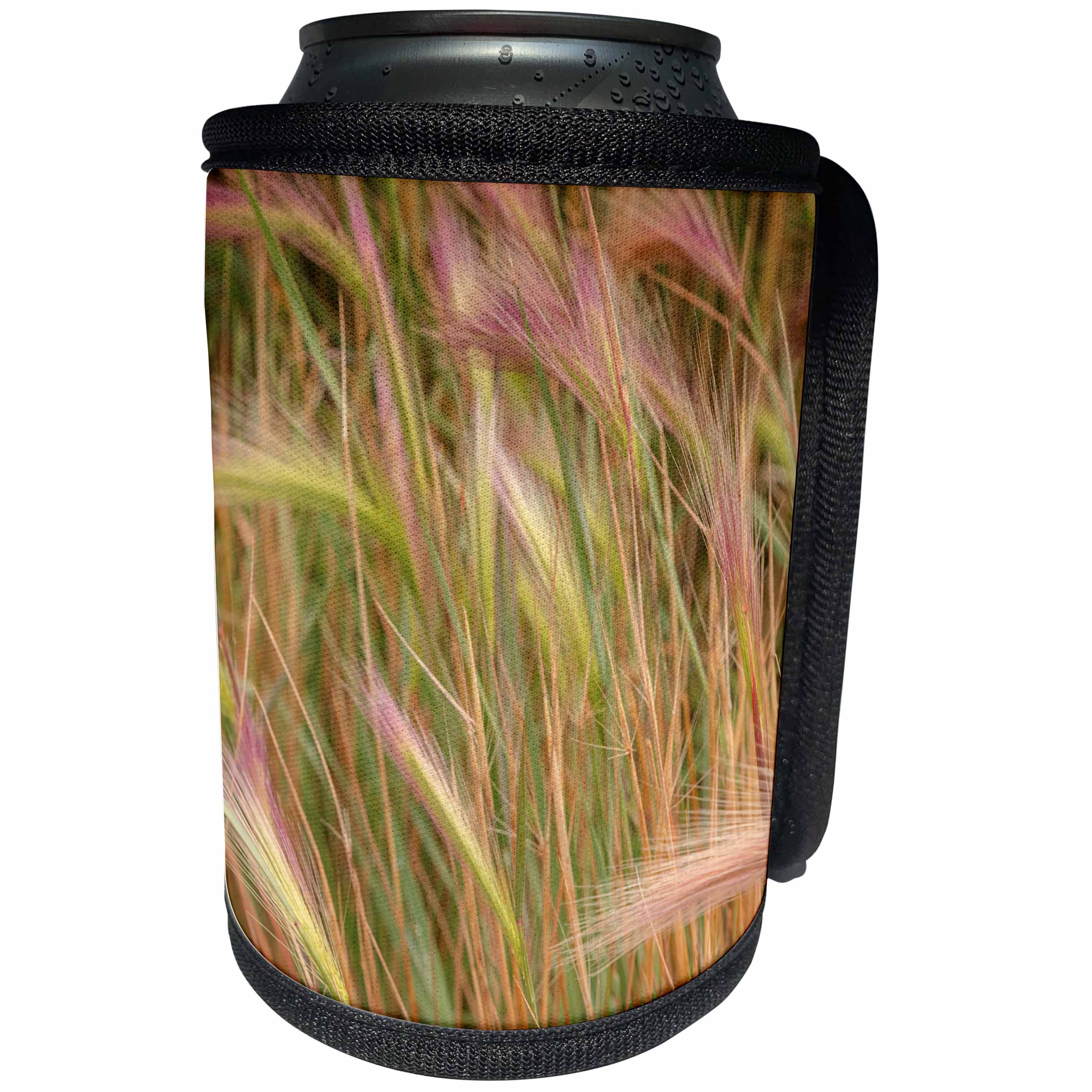 3dRose Danita Delimont - Colorado - Fox-tail Barley, roadside, Routt National Forest, Colorado, USA - Can Cooler Bottle Wrap (cc_250710)