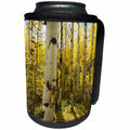 3dRose Danita Delimont - Colorado - Golden quaking aspen in full fall color, Kinney Creek, Colorado - Can Cooler Bottle Wrap (cc_250711)