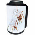 3dRose Danita Delimont - Continental Divide - Grasses, First snow of October, Rabbit Ears Pass, Colorado - Can Cooler Bottle Wrap (cc_250712)
