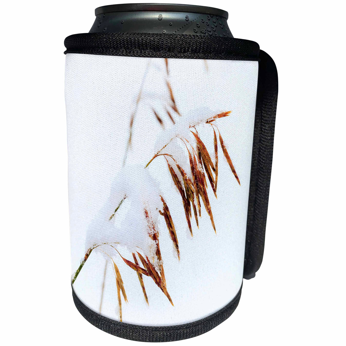 3dRose Danita Delimont - Continental Divide - Grasses, First snow of October, Rabbit Ears Pass, Colorado - Can Cooler Bottle Wrap (cc_250712)