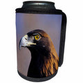 3dRose Danita Delimont - Bird - Golden Eagle,captive bird, Colorado - Can Cooler Bottle Wrap (cc_250715)