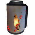 3dRose Danita Delimont - Cedar Waxwing - Cedar Waxwing in Common Winterberry, Marion, IL - Can Cooler Bottle Wrap (cc_250852)