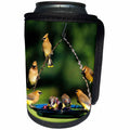 3dRose Danita Delimont - Cedar Waxwing - Cedar Waxwings on grape jelly birdfeeder, Marion, IL - Can Cooler Bottle Wrap (cc_250853)