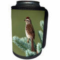 3dRose Danita Delimont - Sparrow - Chipping Sparrow perched in a tree, IL - Can Cooler Bottle Wrap (cc_250855)