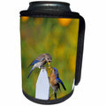 3dRose Danita Delimont - Bluebird - Eastern Bluebird male feeding fledgling on picket fence near flowers - Can Cooler Bottle Wrap (cc_250868)