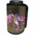 3dRose Danita Delimont - Bluebird - Eastern Bluebird male in Redbud tree in spring, Marion, IL - Can Cooler Bottle Wrap (cc_250870)