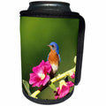 3dRose Danita Delimont - Bluebird - Eastern Bluebird male on Hollyhock, Marion, IL - Can Cooler Bottle Wrap (cc_250872)