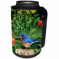 3dRose Danita Delimont - Bluebird - Eastern Bluebird male on wooden fence near garden, Lantana and Rue - Can Cooler Bottle Wrap (cc_250874)