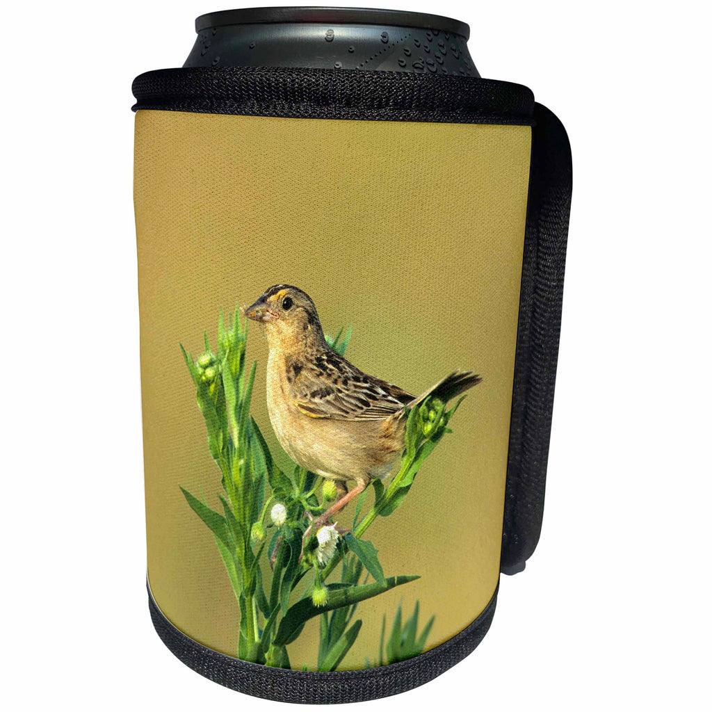 3dRose Grasshopper Sparrow with food, Prairie Ridge SNA, IL - Can Cooler Bottle Wrap (cc_250878)