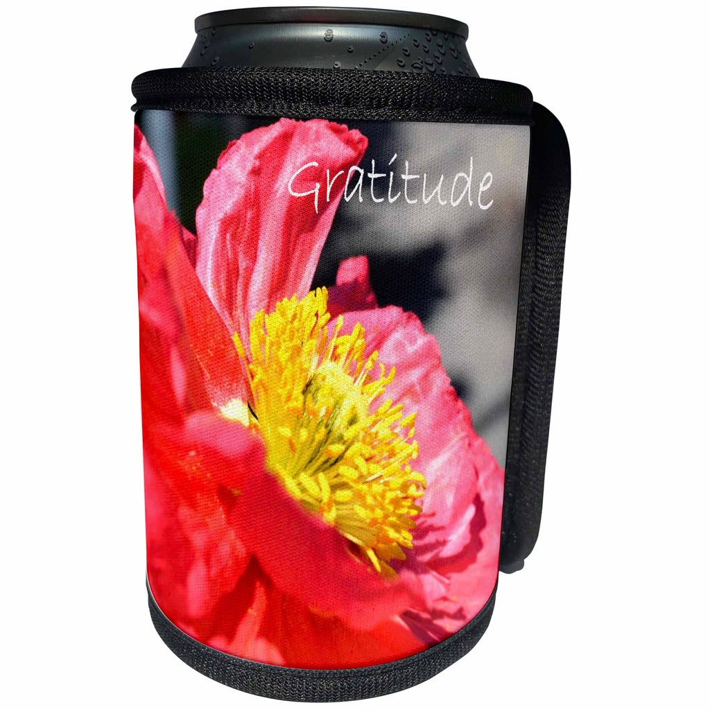 3dRose Patricia Sanders Flowers - Inspirational Gratitude Poppy - Can Cooler Bottle Wrap (cc_25088)