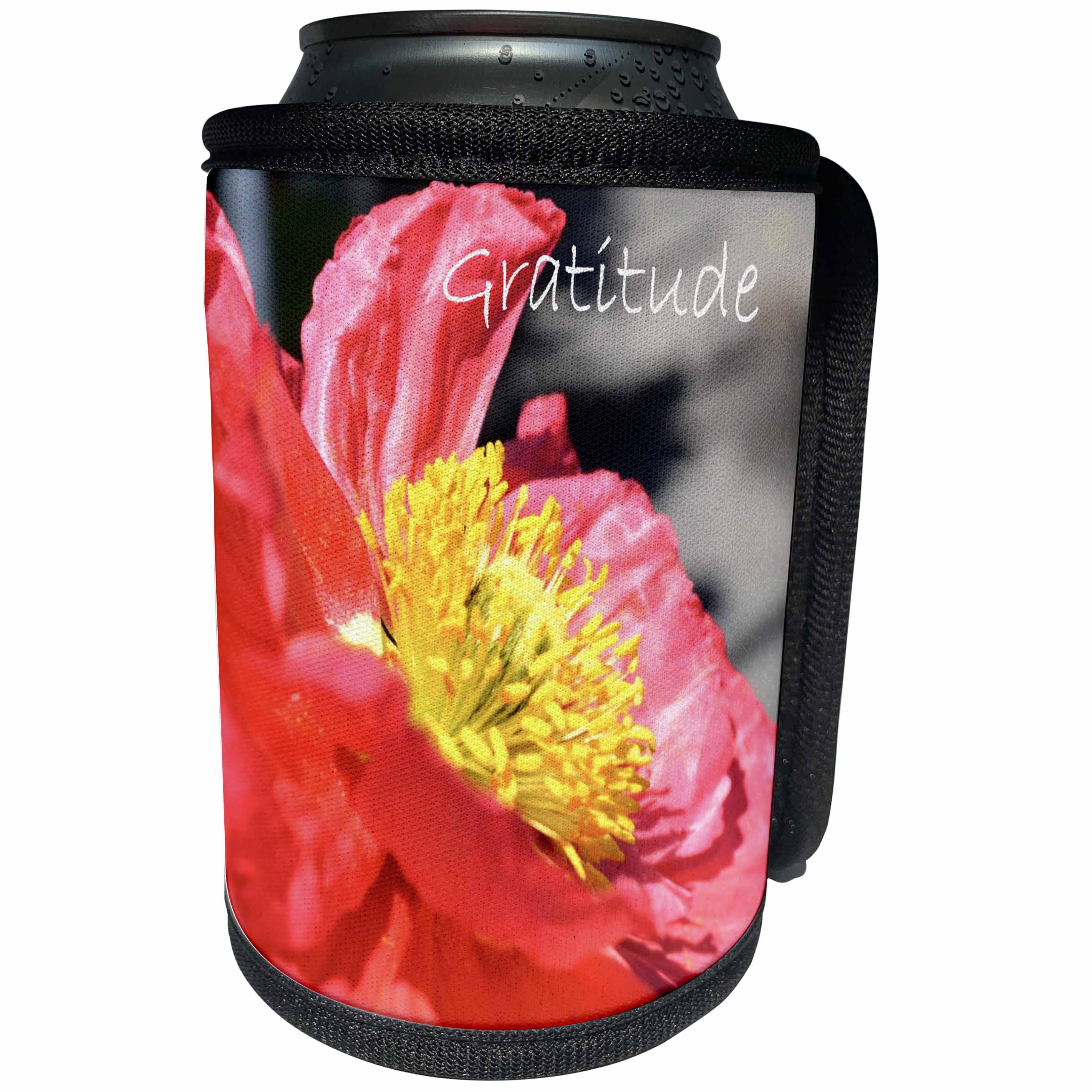 3dRose Patricia Sanders Flowers - Inspirational Gratitude Poppy - Can Cooler Bottle Wrap (cc_25088)