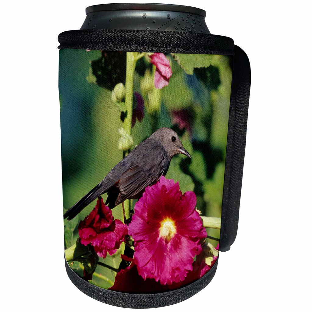 3dRose Danita Delimont - Catbird - Gray Catbird on Hollyhock, Marion, IL - Can Cooler Bottle Wrap (cc_250882)