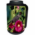 3dRose Danita Delimont - Catbird - Gray Catbird on Hollyhock, Marion, IL - Can Cooler Bottle Wrap (cc_250882)