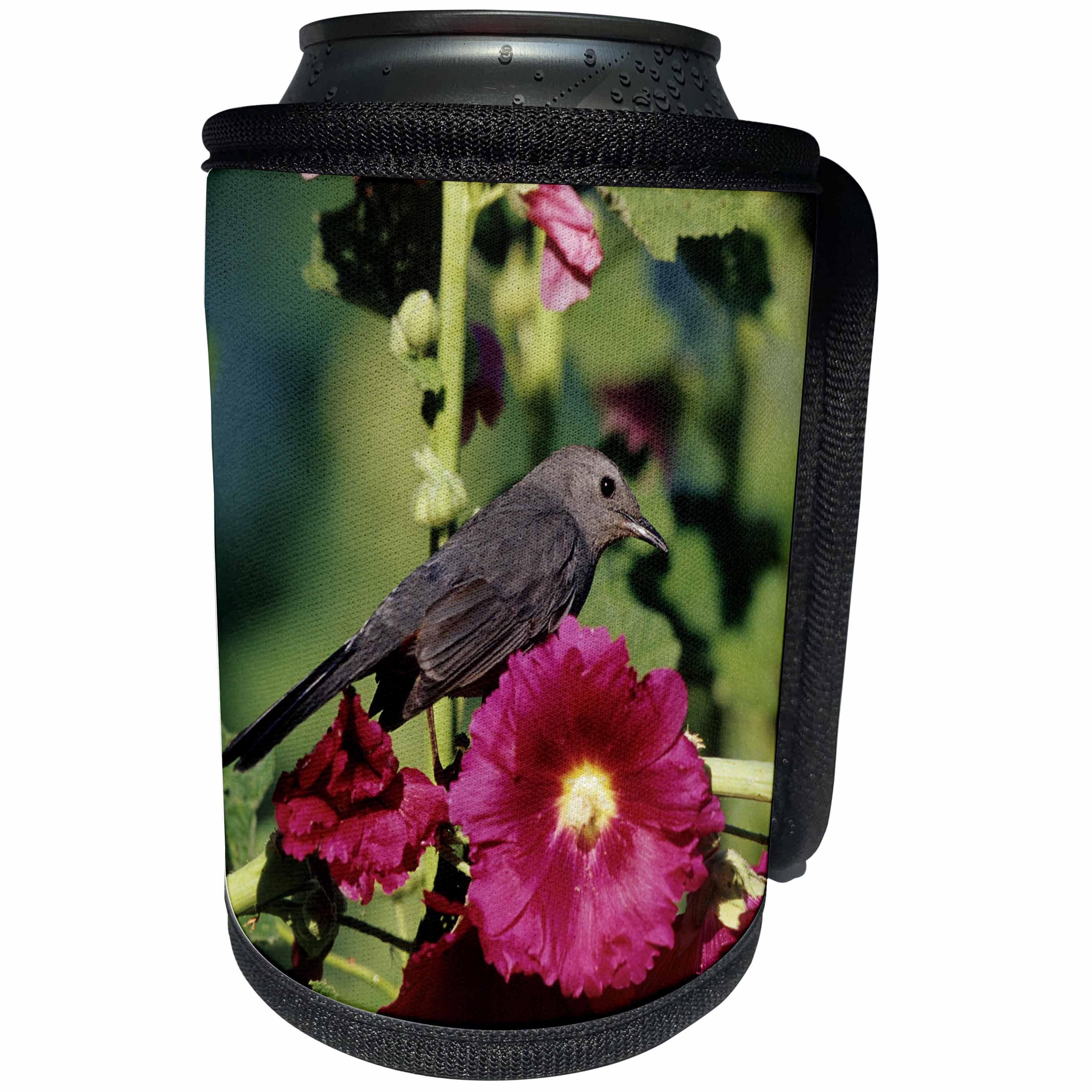 3dRose Danita Delimont - Catbird - Gray Catbird on Hollyhock, Marion, IL - Can Cooler Bottle Wrap (cc_250882)