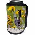 3dRose Danita Delimont - Catbird - Gray Catbird on wooden fence near Black-eyed Susans, IL - Can Cooler Bottle Wrap (cc_250884)