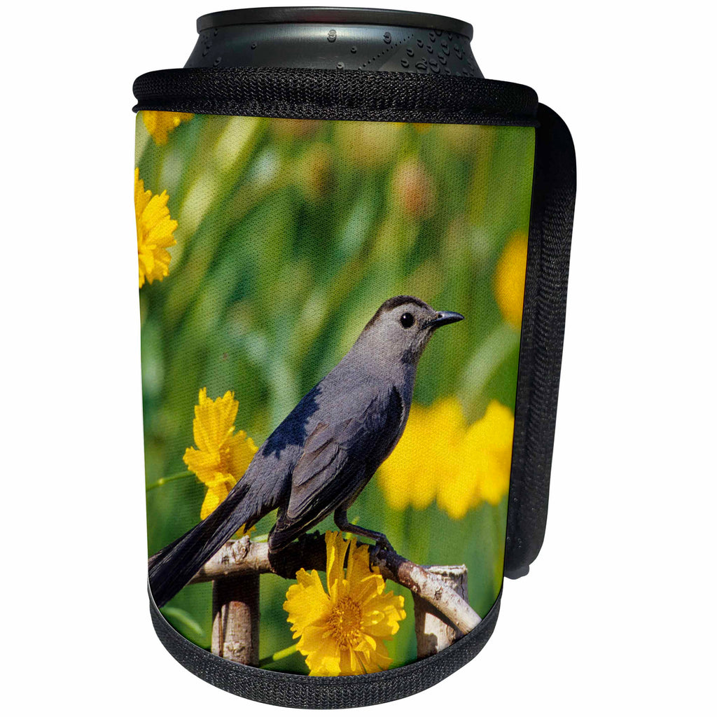 3dRose Danita Delimont - Catbird - Gray Catbird on wooden fence near Lance-leaved Coreopsis, Marion, IL - Can Cooler Bottle Wrap (cc_250885)