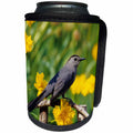 3dRose Danita Delimont - Catbird - Gray Catbird on wooden fence near Lance-leaved Coreopsis, Marion, IL - Can Cooler Bottle Wrap (cc_250885)