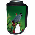 3dRose Danita Delimont - Catbird - Gray Catbird singing on picket fence near Red Prince Weigela - Can Cooler Bottle Wrap (cc_250886)