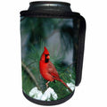 3dRose Danita Delimont - Cardinal - Northern Cardinal male in Pine tree in winter, Marion, Illinois - Can Cooler Bottle Wrap (cc_250897)