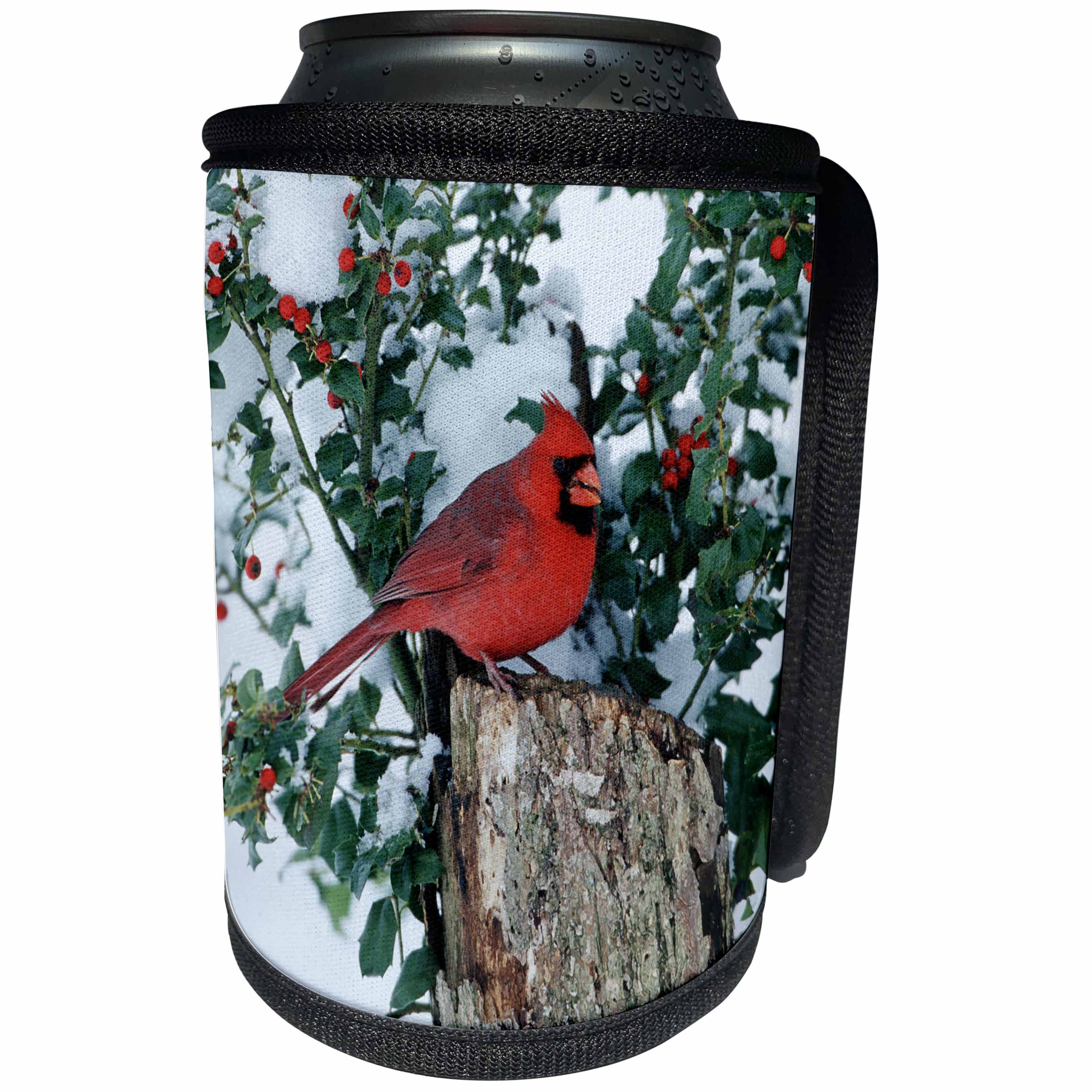 3dRose Danita Delimont - Cardinal - Northern Cardinal male on stump near China Holly in winter, IL - Can Cooler Bottle Wrap (cc_250901)