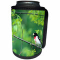 3dRose Danita Delimont - Bird - Rose-breasted Grosbeak male in Common Hackberry tree, Marion, IL - Can Cooler Bottle Wrap (cc_250905)