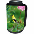 3dRose Danita Delimont - Goldfinch - American Goldfinch male on Purple Coneflower, Marion County, Illinois - Can Cooler Bottle Wrap (cc_250909)