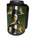 3dRose Danita Delimont - Goldfinch - American Goldfinches at thistle tube feeder, Marion County, Illinois - Can Cooler Bottle Wrap (cc_250914)
