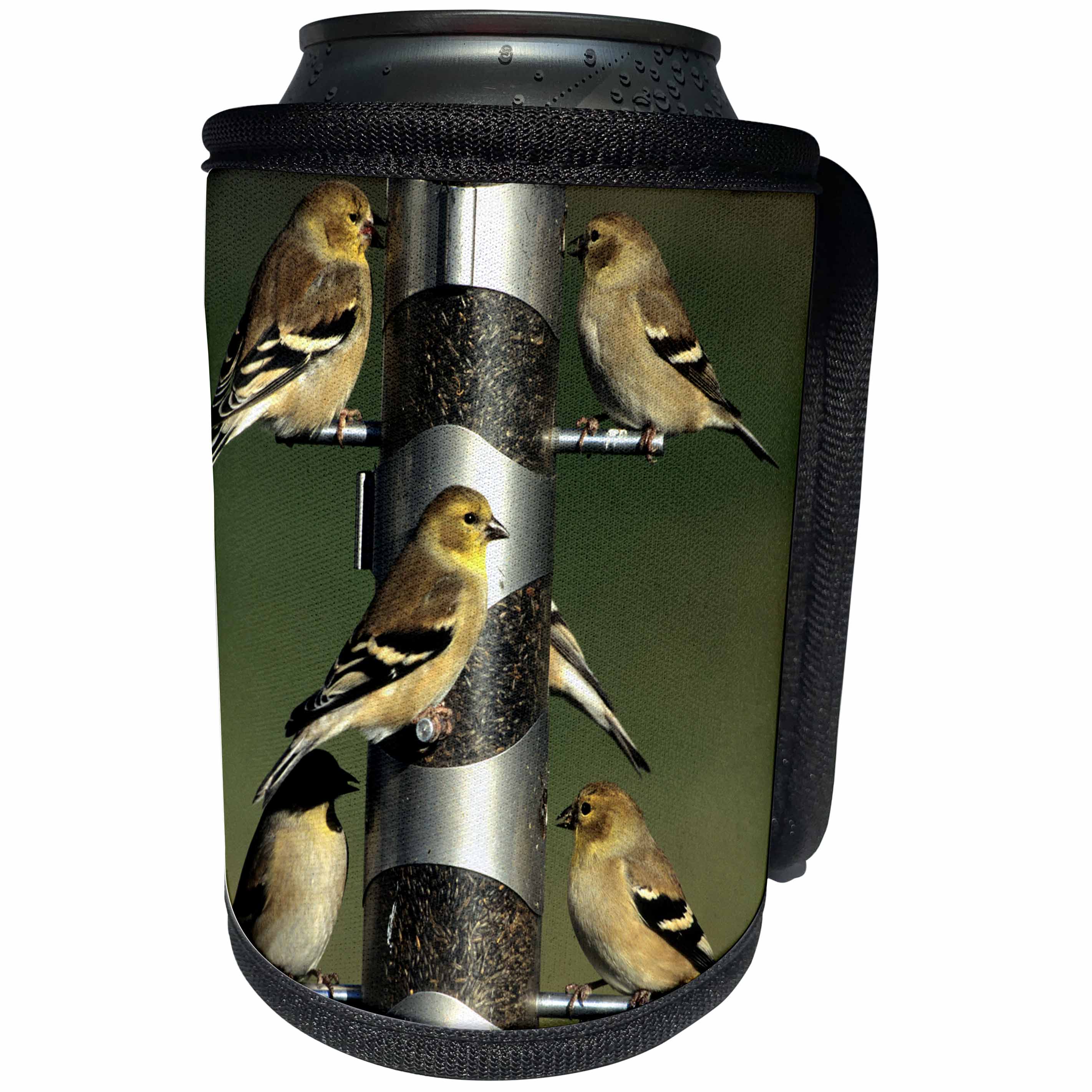 3dRose Danita Delimont - Goldfinch - American Goldfinches at thistle tube feeder, Marion County, Illinois - Can Cooler Bottle Wrap (cc_250914)