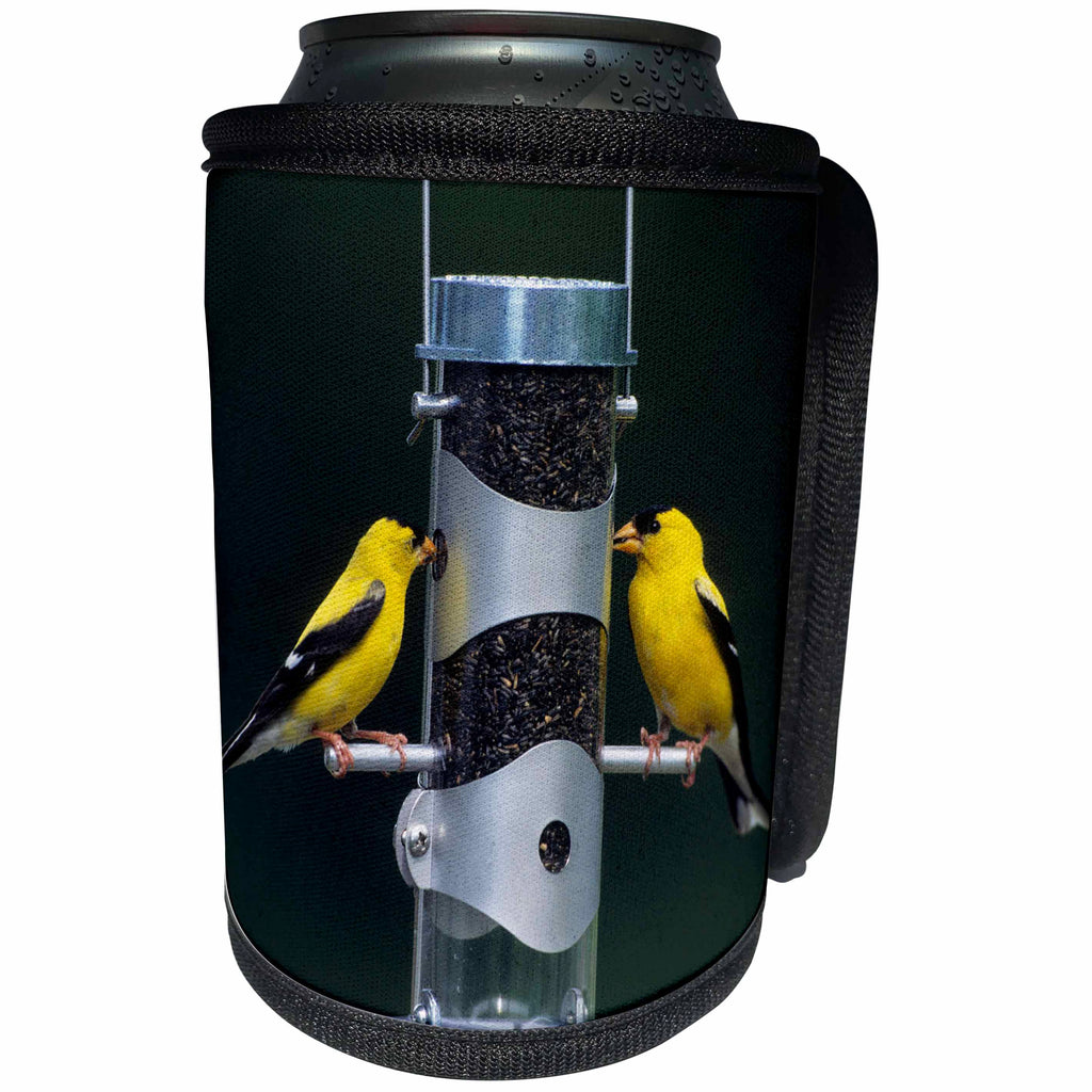3dRose Danita Delimont - Goldfinch - American Goldfinches males at tube feeder, Marion County, Illinois - Can Cooler Bottle Wrap (cc_250916)