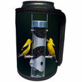 3dRose Danita Delimont - Goldfinch - American Goldfinches males at tube feeder, Marion County, Illinois - Can Cooler Bottle Wrap (cc_250916)