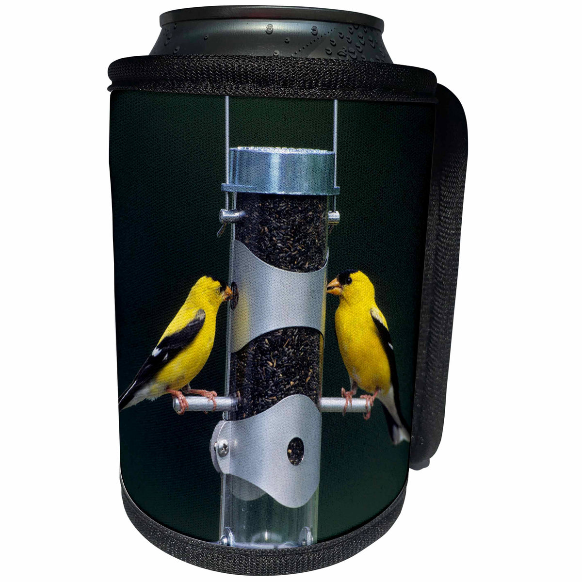 3dRose Danita Delimont - Goldfinch - American Goldfinches males at tube feeder, Marion County, Illinois - Can Cooler Bottle Wrap (cc_250916)