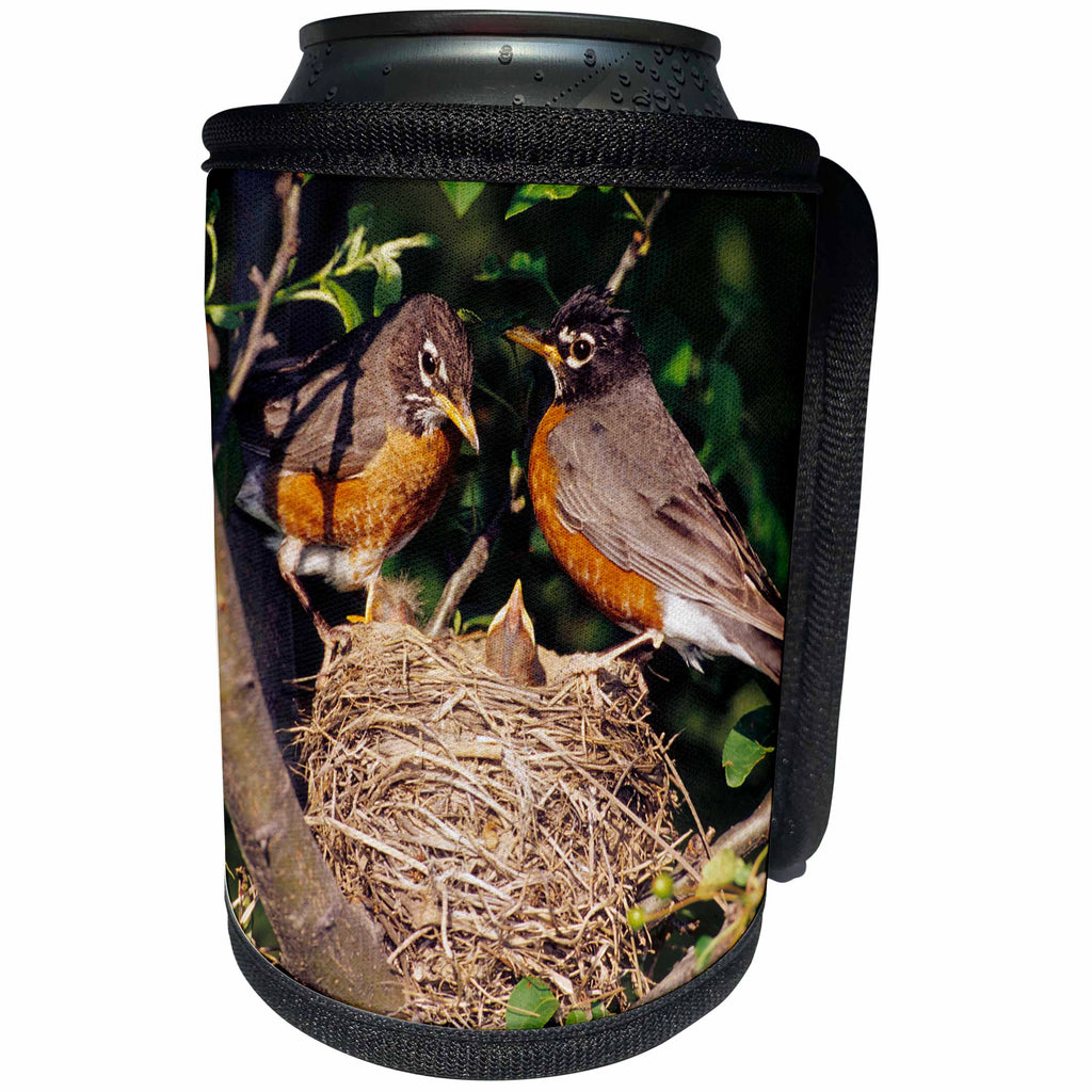 3dRose Danita Delimont - Robin - American Robin male and female at nest in Crabapple tree, Illinois - Can Cooler Bottle Wrap (cc_250917)