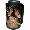 3dRose Danita Delimont - Robin - American Robin male and female at nest in Crabapple tree, Illinois - Can Cooler Bottle Wrap (cc_250917)