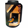 3dRose Danita Delimont - Oriole - Baltimore Oriole male on jelly and grape feeder, Illinois - Can Cooler Bottle Wrap (cc_250919)