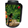 3dRose Danita Delimont - Oriole - Baltimore Oriole male on wooden fence near flower garden, Illinois - Can Cooler Bottle Wrap (cc_250921)