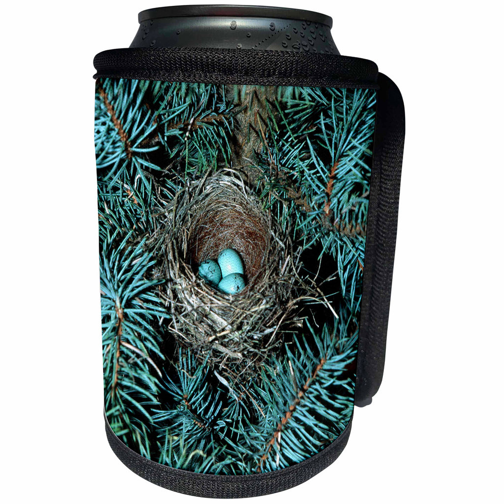 3dRose Danita Delimont - Sparrow - Chipping Sparrow nest with three eggs, Illinois - Can Cooler Bottle Wrap (cc_250923)