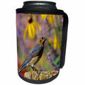 3dRose Danita Delimont - Bluebird - Eastern Bluebird female on fence post in flower garden, Illinois - Can Cooler Bottle Wrap (cc_250924)