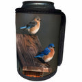 3dRose Danita Delimont - Bluebird - Eastern Bluebird male and female on Peterson nest box, Illinois - Can Cooler Bottle Wrap (cc_250925)