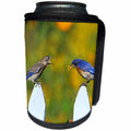 3dRose Danita Delimont - Bluebird - Eastern Bluebird male feeding fledgling on picket fence - Can Cooler Bottle Wrap (cc_250927)