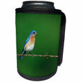3dRose Danita Delimont - Bluebird - Eastern Bluebird male on barbed wire fence with food Illinois - Can Cooler Bottle Wrap (cc_250930)