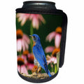 3dRose Danita Delimont - Bluebird - Eastern Bluebird male on fence near Purple Coneflowers - Can Cooler Bottle Wrap (cc_250931)