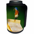 3dRose Danita Delimont - Bluebird - Eastern Bluebird male with mealworms at nestbox, Illinois - Can Cooler Bottle Wrap (cc_250934)