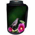 3dRose Danita Delimont - Catbird - Gray Catbird on Hollyhock, Marion County, Illinois - Can Cooler Bottle Wrap (cc_250936)