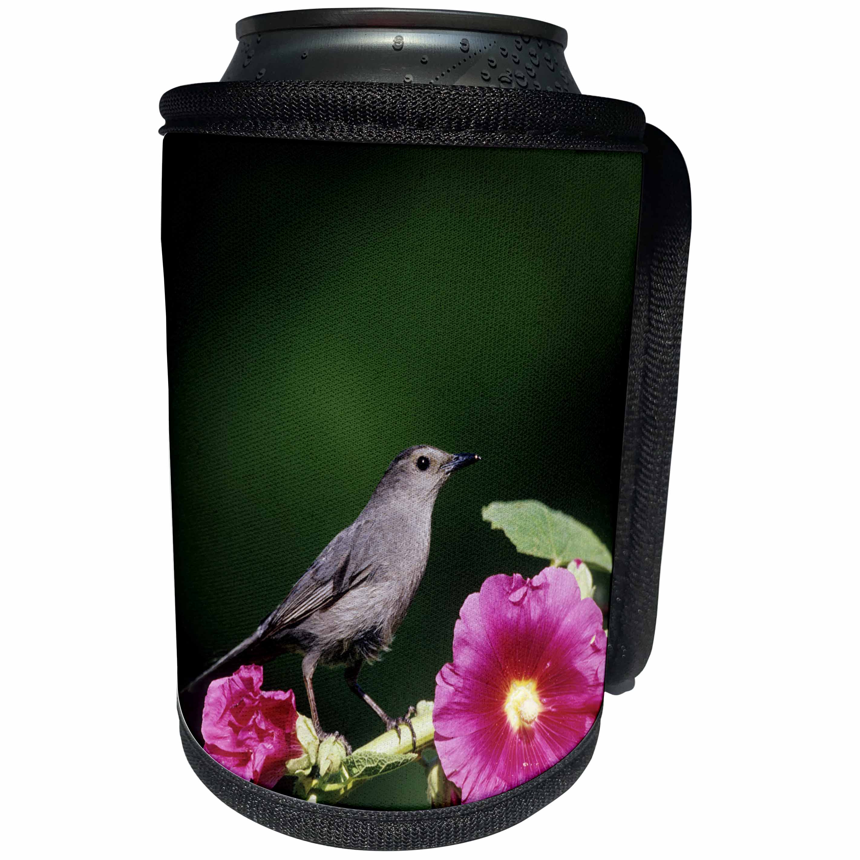 3dRose Danita Delimont - Catbird - Gray Catbird on Hollyhock, Marion County, Illinois - Can Cooler Bottle Wrap (cc_250936)
