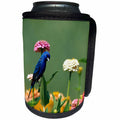 3dRose Danita Delimont - Bunting - Indigo Bunting male on Zinnias in garden Marion County, Illinois - Can Cooler Bottle Wrap (cc_250938)